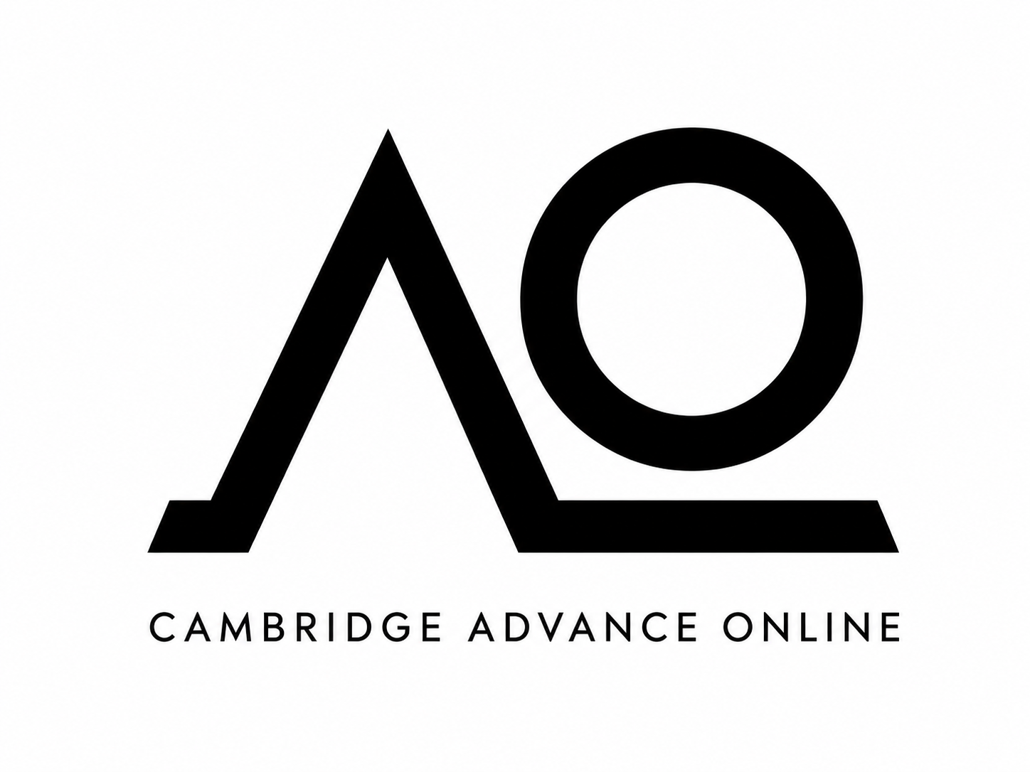 Executive Coaching for AI