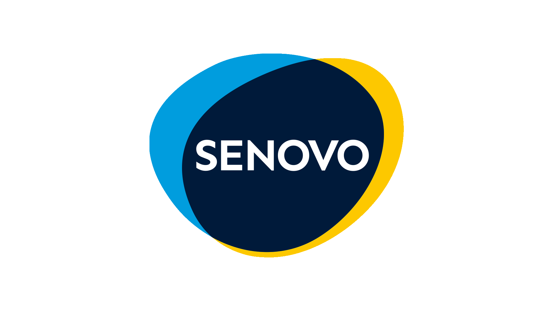Analyst at Venture Capital Fund Senovo